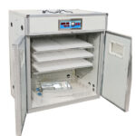 Commercial Chicken Egg Incubator 528 Eggs Hatchery Steps Farmcare Kenya