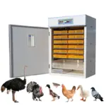Eggsincubator 1 Steps Farmcare Kenya
