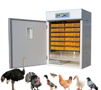 350 eggs AC/DC Poultry Incubator