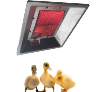 Infrared Gas Brooder Chick Warmers