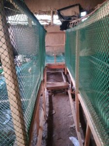 Plastic Poultry Mesh 1M1M 1 Steps Farmcare Kenya