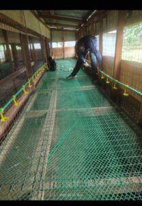 Plastic Poultry Mesh 2 Steps Farmcare Kenya