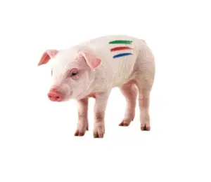 Temporary Animal Marker Crayon Nairobi 2 Steps Farmcare Kenya