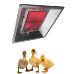 Brooder 3 Steps Farmcare Kenya