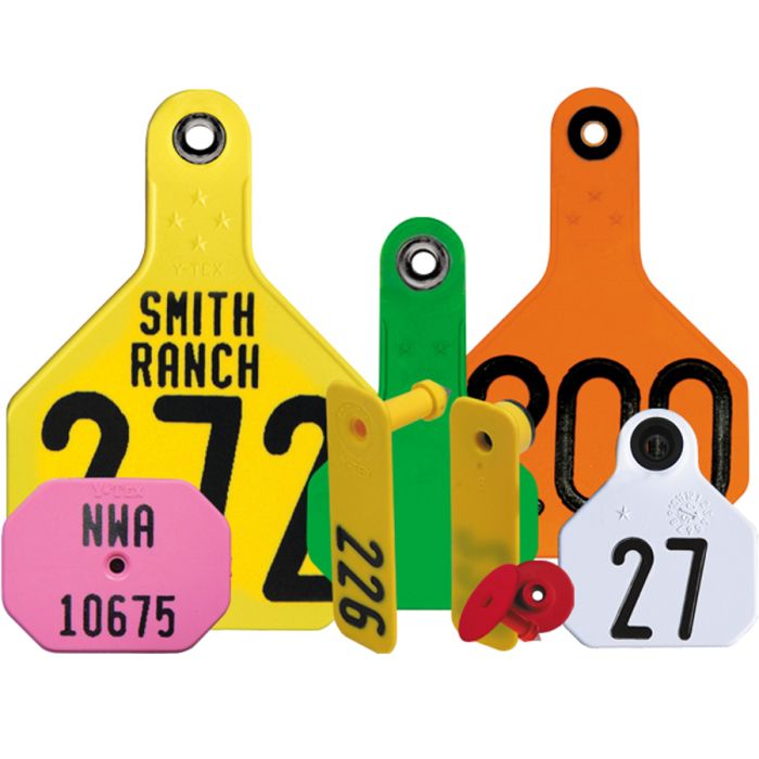 Cows Customized Ear Tags