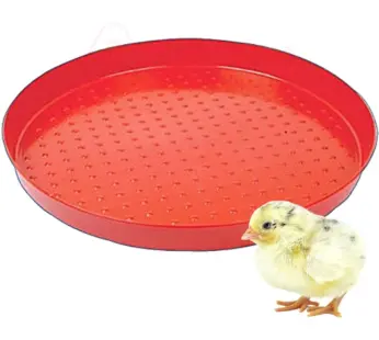 Home 14 40Cm-Diameter Day-Old Round Feeder Trays