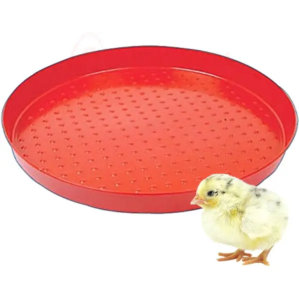 40Cm-Diameter Day-Old Round Feeder Trays