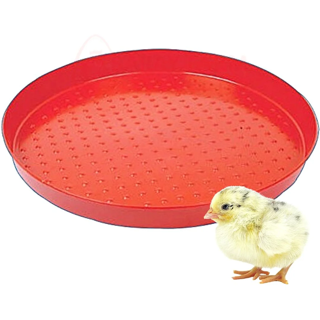 40Cm-Diameter Day-Old Round Feeder Trays