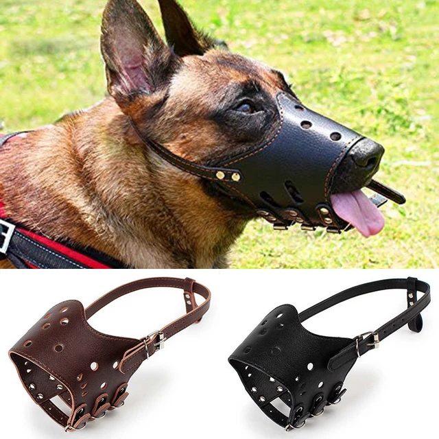 Leather Dog Muzzle (Medium)