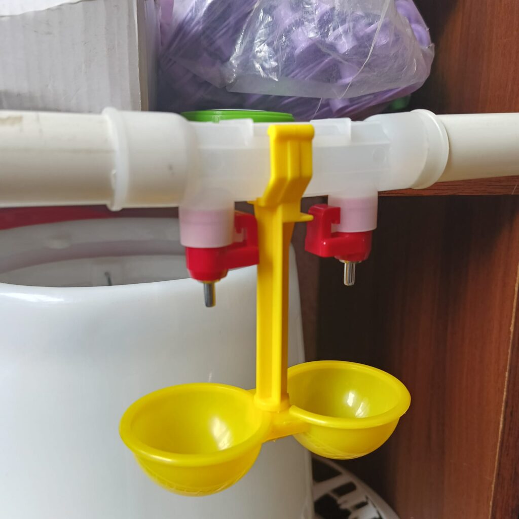 Exploring The Versatility Of Chicken Nipple Drinkers For Nairobi Farmers 1 Double Steps Farmcare Kenya