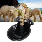 Goatfdeeder Steps Farmcare Kenya
