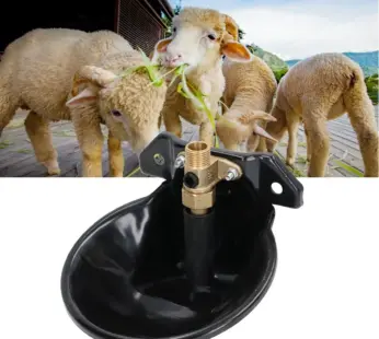 Cast Iron Goat Drinkers