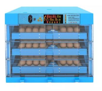 Home 8 192 Eggs Ac/Dc Poultry Incubator