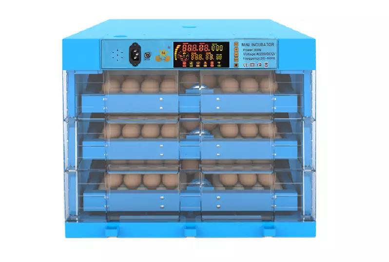 192 Eggs Ac/Dc Poultry Incubator