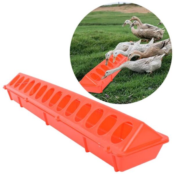 50Cm Longitudinal Chick Feeding Troughs - Image 2