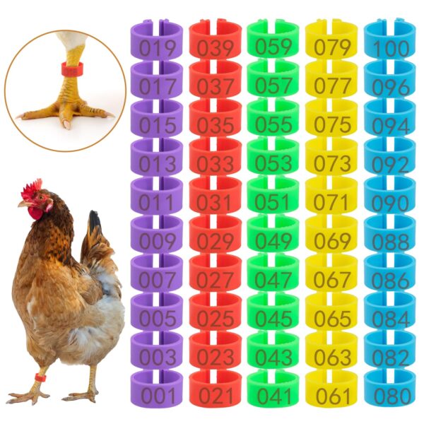 100-Pack Numbered Chicken Leg Bands