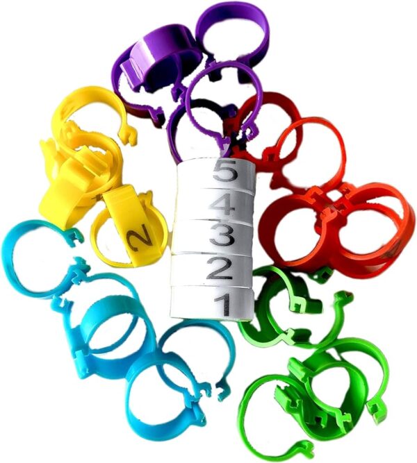 100-Pack Numbered Chicken Leg Bands - Image 2