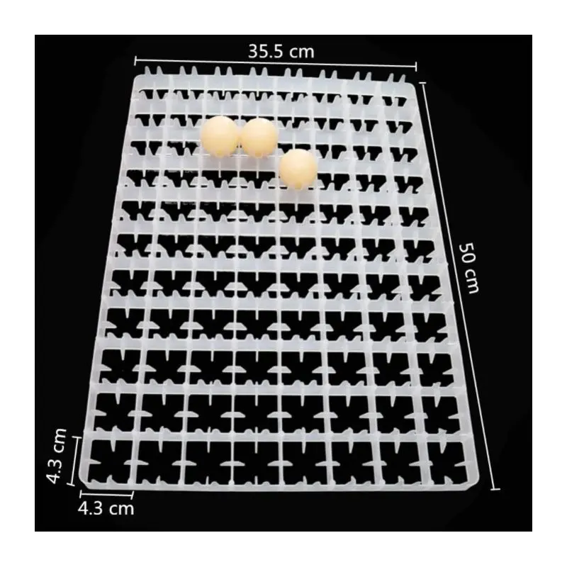 88  Eggs Setter Trays