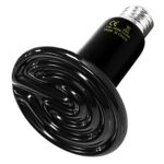 Bulb Steps Farmcare Kenya