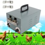 Chicken De Beaker In Kenya 3 Steps Farmcare Kenya