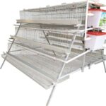 High Capacity 96 120 128 168 Birds Egg Kenya Steps Farmcare Kenya