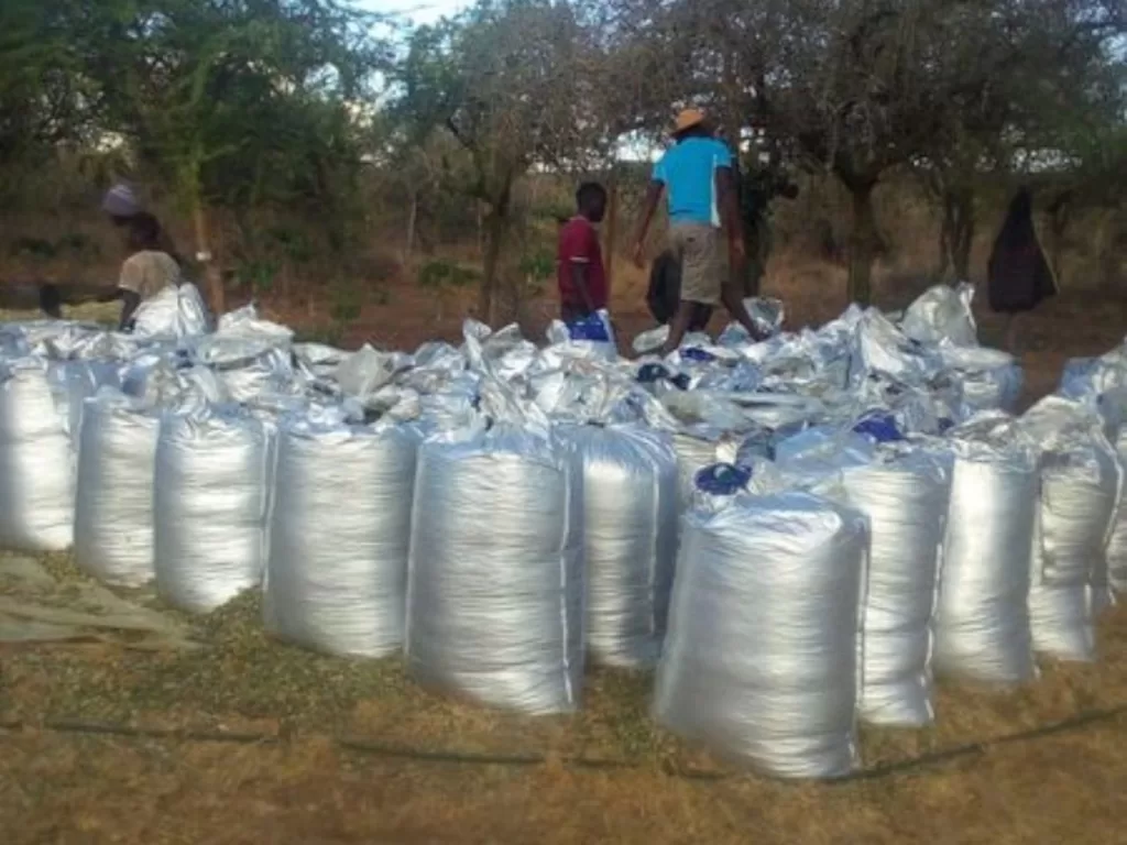 Silage Bags By Kenyan Farmers In Nairobi Steps Farmcare Kenya