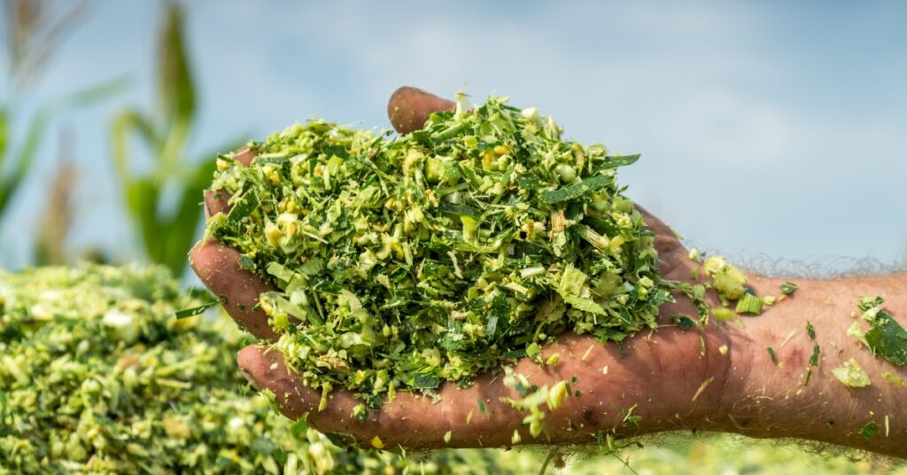 Silagein Kenya Steps Farmcare Kenya