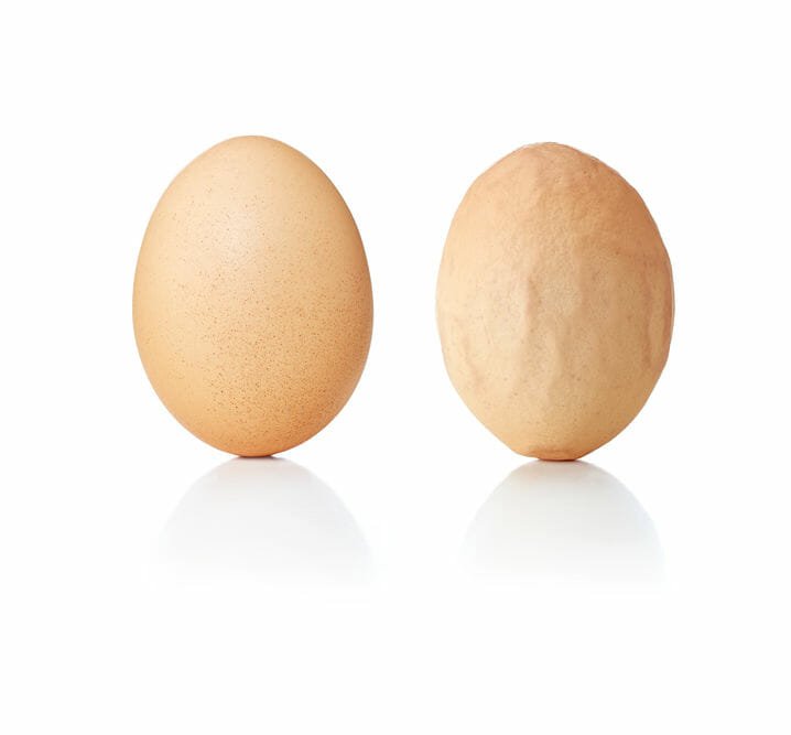 Chicken Infections And Their Symptoms 3 Infectious Bronchitis In Poultry Chickens