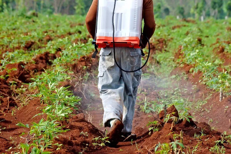 Pesticide Perils: A Toxic Threat 1 Spraying In Kenya Pesticides Steps Farmcare Kenya